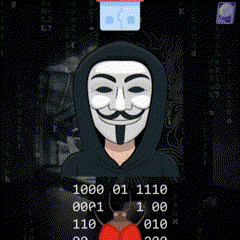 Viperr XD